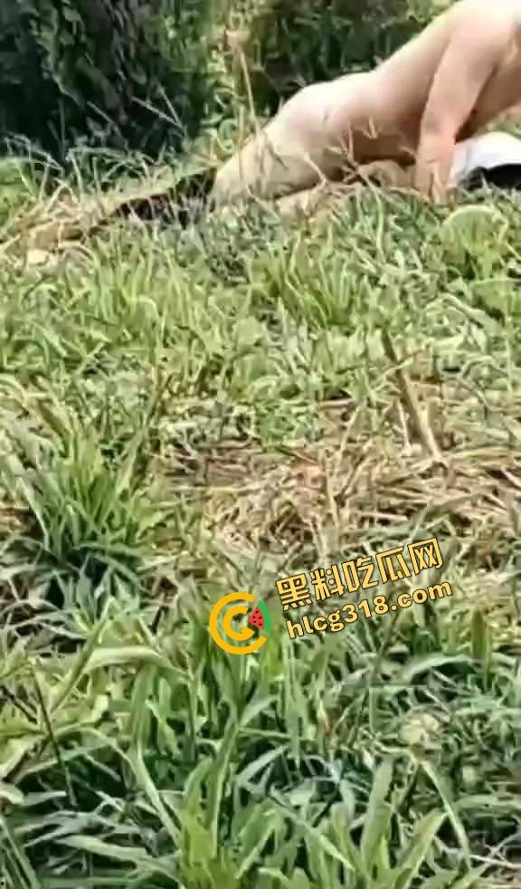 黄毛精神小伙带着骚货小妹户外野战被偷拍，猪头焖子都有逼能操，而你我的朋友你在干嘛？-1