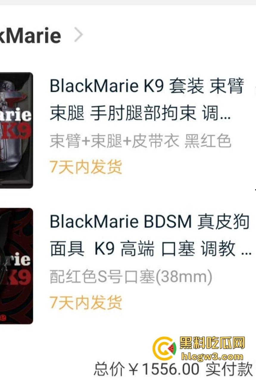 推特【BDSM】调教博主 从温柔小女仆到捆绑母狗，各种重口味场景玩到极致，羞耻度破表！-2