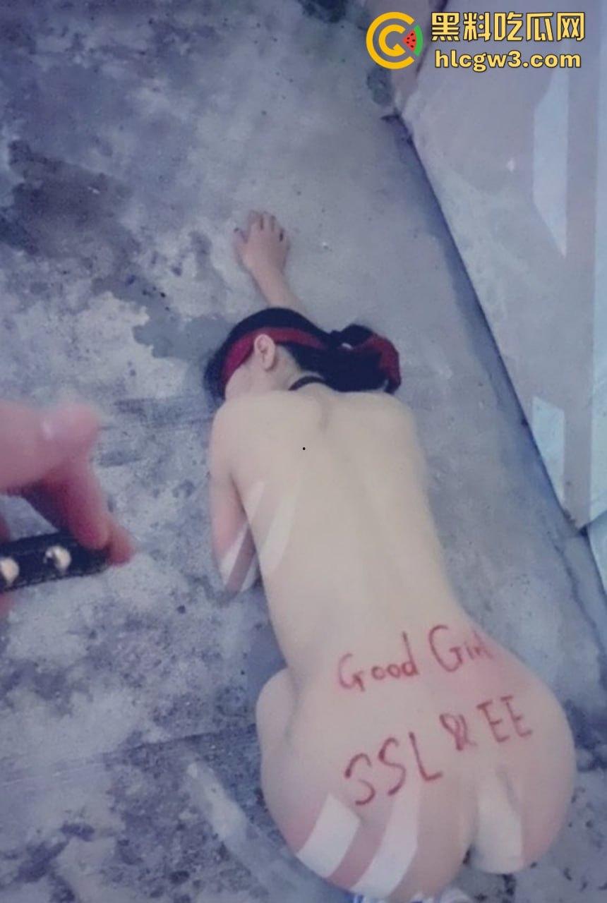 推特【BDSM】调教博主 从温柔小女仆到捆绑母狗，各种重口味场景玩到极致，羞耻度破表！-27