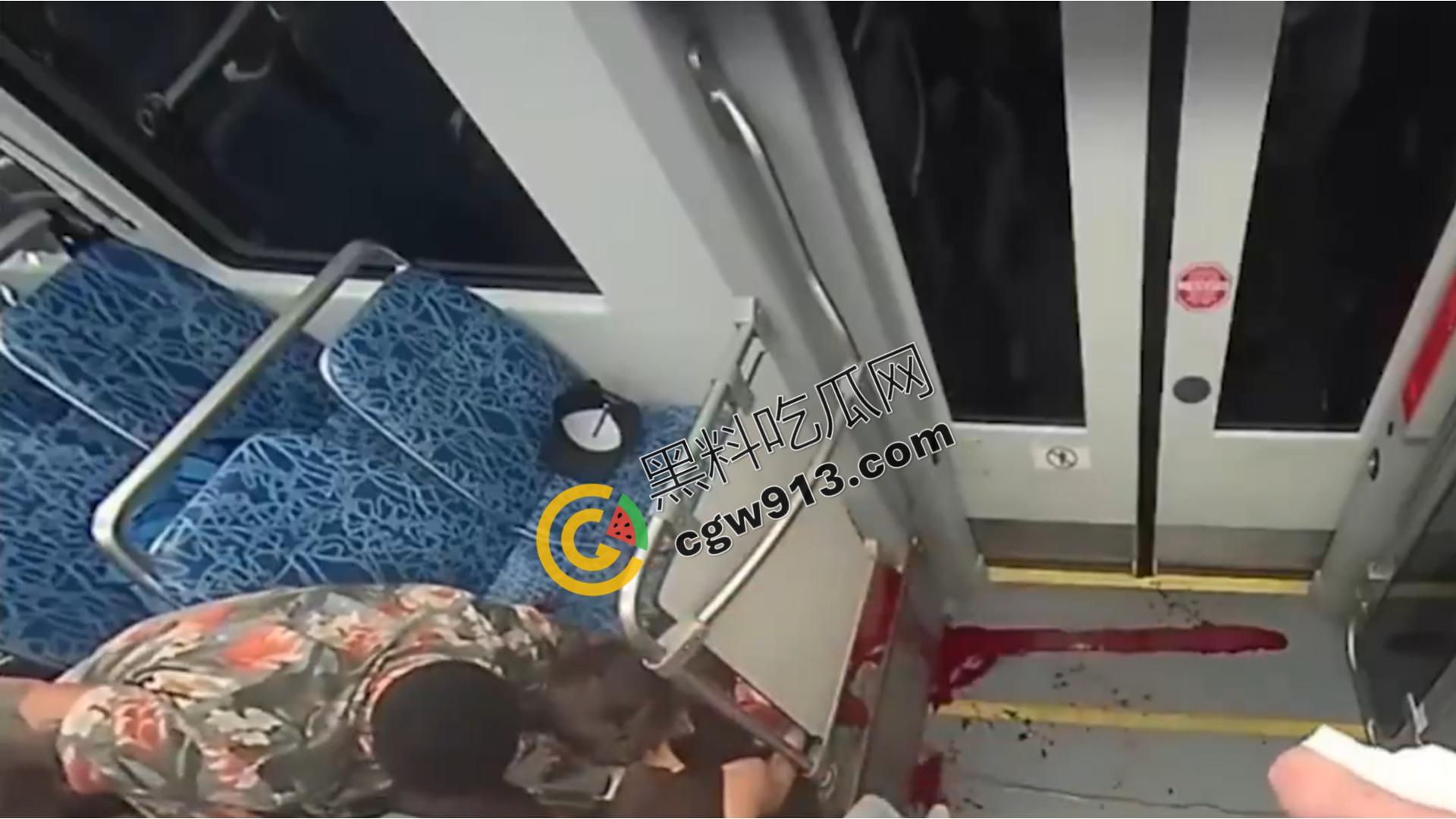 乌克兰难民赴美梦断轻轨：陌生男子无故刺喉夺命，年轻女子血染车厢，引发社会关注-11