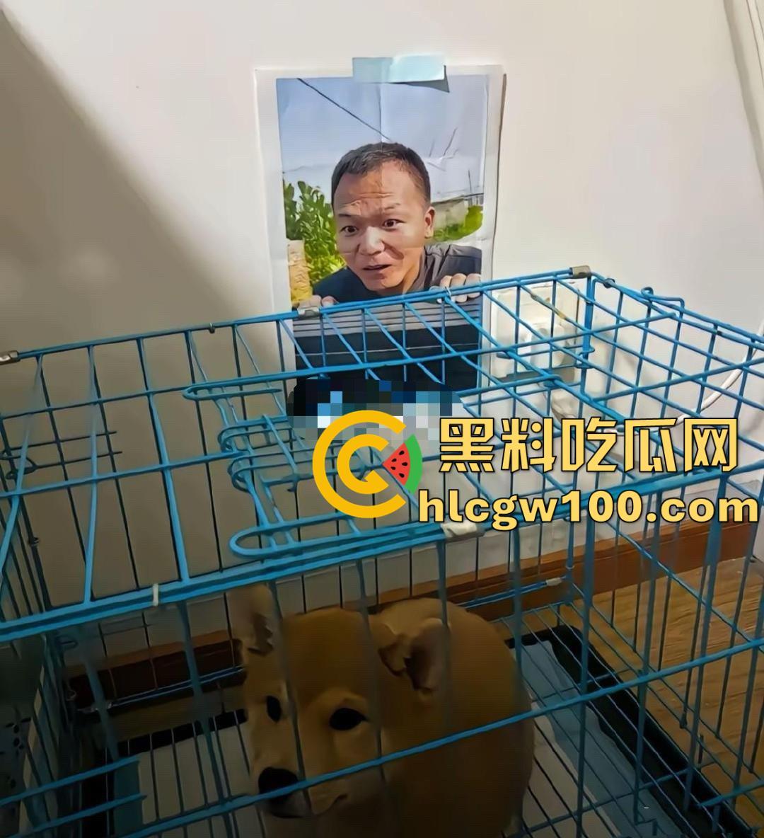 千万粉网红【潘宏爱玩狗】深陷虐狗风波，艾特直播洗澡窒息死亡，【陈乔恩】发声批判-13