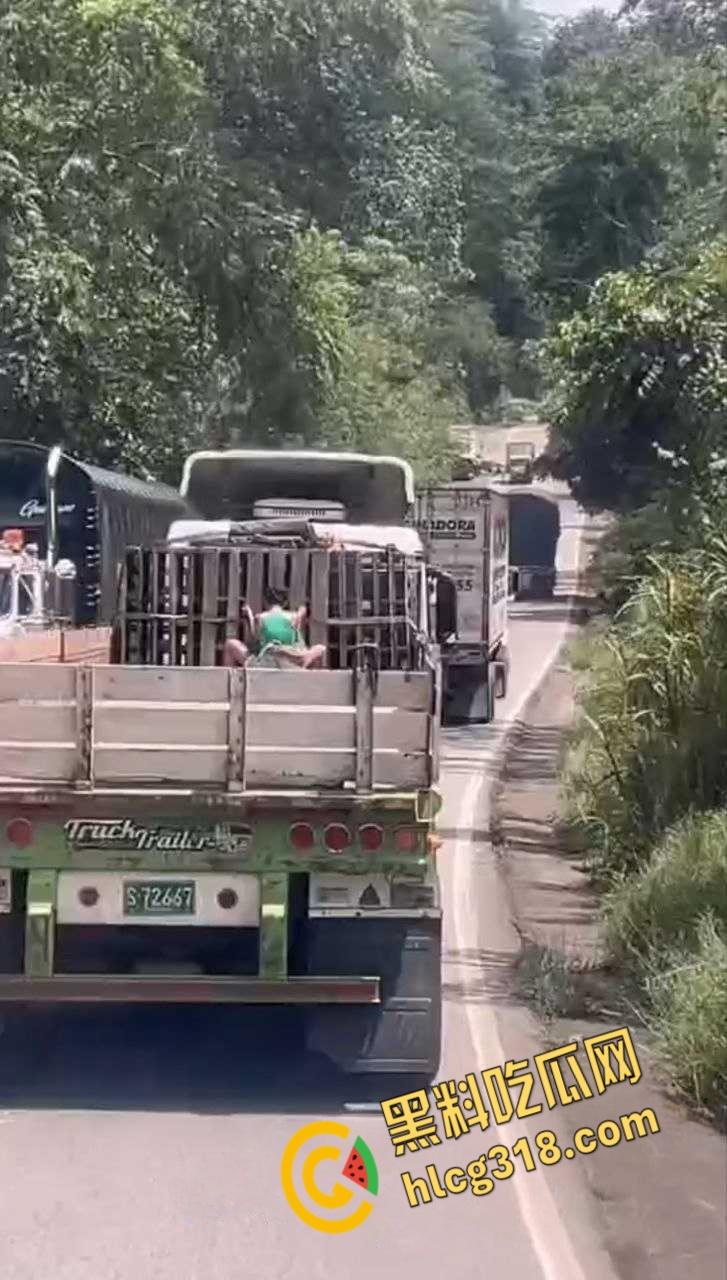 国外人真大胆，寂寞骚妹大卡车尾箱车震，拿块布挡着，娇喘高潮整个街道都听得到 ！-4