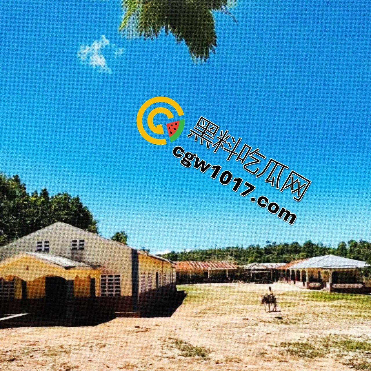 德克萨斯不养闲人 一位消防员 一位空军飞行员两人计划召集一支流浪汉军队，夺取海岸附近的一个岛屿并将所有女性都将成为性奴隶！-2