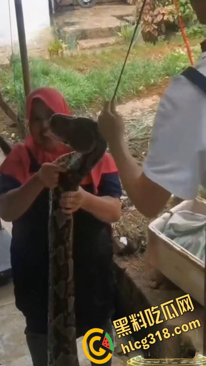 农夫徒手大战蟒蛇，54公斤巨型蟒蛇被活活打死，农户剥皮下锅做大补美食，场面血腥 ！-3