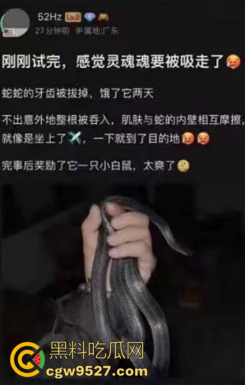 印度三哥真是什么都敢操,从兔子到乌龟,从老虎到蜥蜴,只要有洞都能插,地震裂缝是不是也能操地球啊!-1