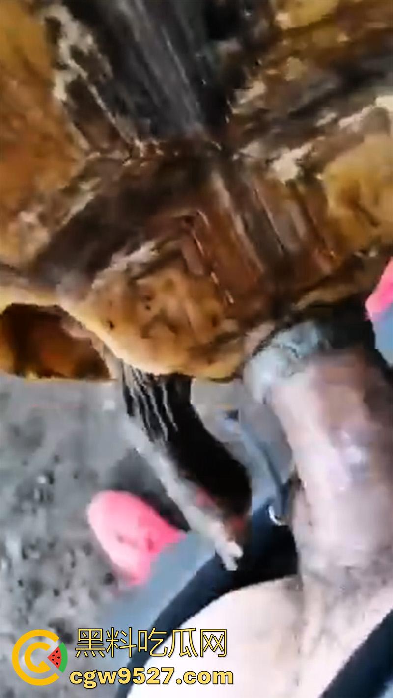 印度三哥真是什么都敢操,从兔子到乌龟,从老虎到蜥蜴,只要有洞都能插,地震裂缝是不是也能操地球啊!-3