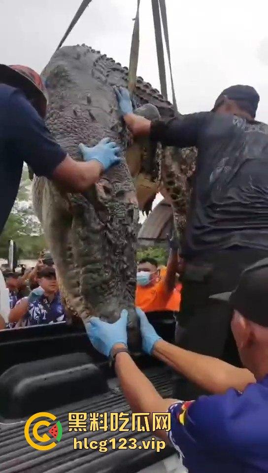 鳄鱼杀人开宴!小镇女孩惨遭下肚,砂捞越首次鳄鱼吃人,残骸成谜!-10