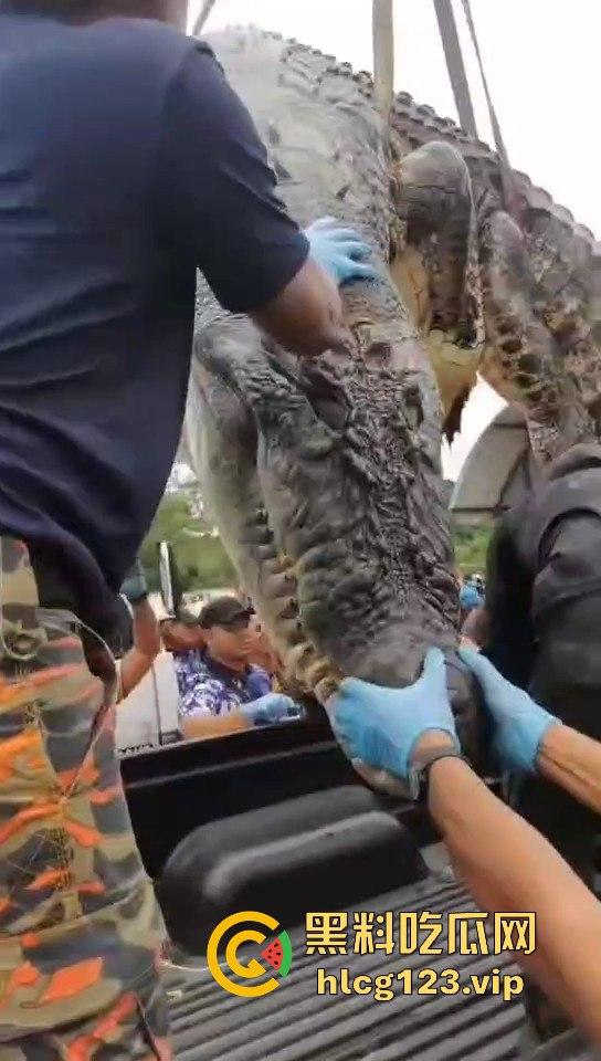 鳄鱼杀人开宴!小镇女孩惨遭下肚,砂捞越首次鳄鱼吃人,残骸成谜!-11